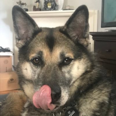 floweringkitten's profile picture. make the world a better place 🌸💕