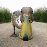 Ogee (@ogeerunner) 's Twitter Profile Photo Ogee (@ogeerunner) 's Twitter Profile Photo