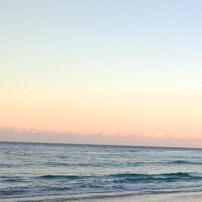 Malissa22419071's profile picture. 