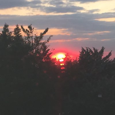 mserhankal's profile picture. MÜ Öğretim Görevlisi/ Eğitim Danışmanı