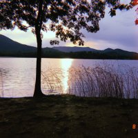 Roc Fages (@roc) 's Twitter Profile