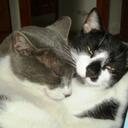 Jo Meadows - @jojo_meadows - Twitter