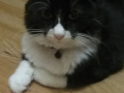 birds808773's profile picture. H💿L💿 Sexual