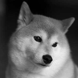 s__incos's profile picture. mkwやってました