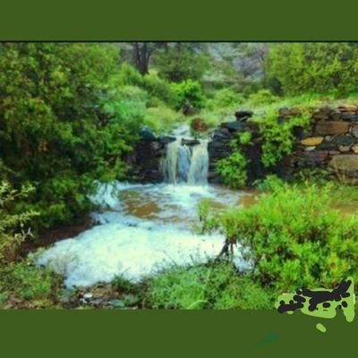 dhytryuhgcdse's profile picture. 