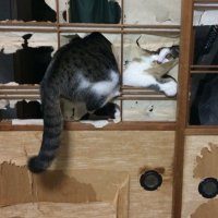 ๐๐ sakamoto1973๐บ ๐๐๐๐ (@sakamoto1973) 's Twitter Profile