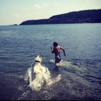 ZEHRA DAMLA VURSAVUŞ (@zdvk) Twitter profile photo