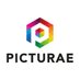 Picturae_INT (@picturae_int) Twitter profile photo