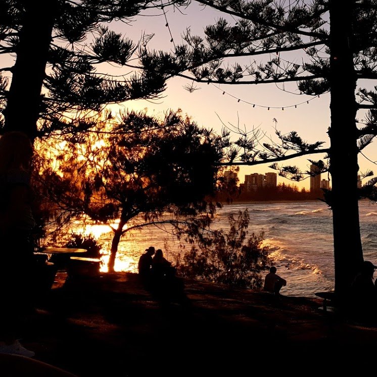 aNoob15173101's profile picture. 