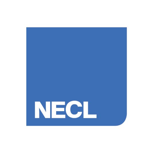 NECL_Consulting Profile Picture