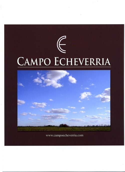 alecheverria's profile picture. Venado Tuerto