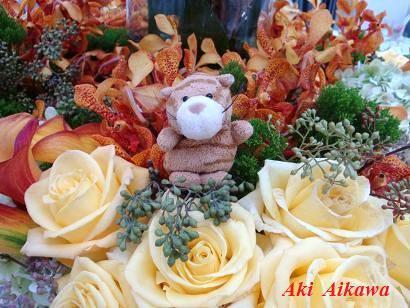 愛川耀 Aki Aikawa