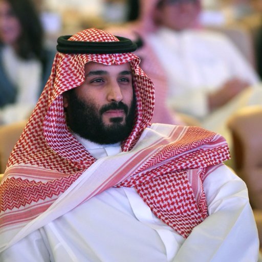 I'm Mohammad bin Salman bin Abdulaziz Al Saud, known colloquially as MbS, the Crown Prince of Saudi Arabia, also serving as First Deputy Prime Minister.🤴