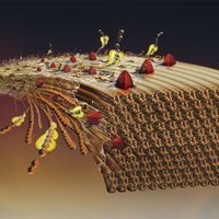 The PEP group (@eijsinklab) 's Twitter Profile Photo The PEP group (@eijsinklab) 's Twitter Profile Photo