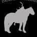 Dalriada Highlands (@dalriadapony) Twitter profile photo