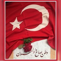 🇹🇷 . Hilal .🇹🇷 (@19aslan_r) 's Twitter Profile
