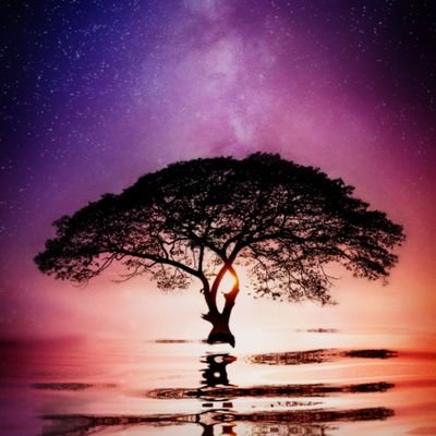 TatianaN2727's profile picture. 