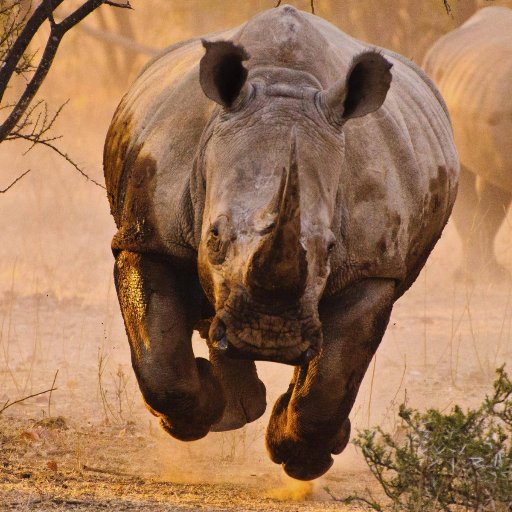 SlavDen9's profile picture. #followback