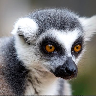 HermitageWorldC's profile picture. 