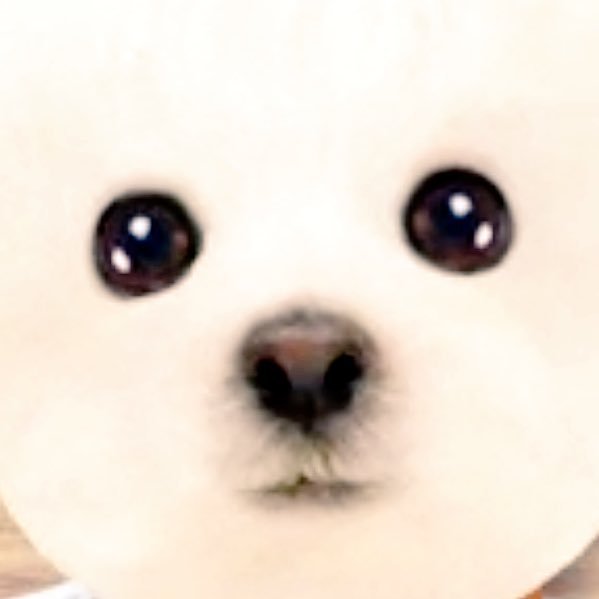 mame_fuku32's profile picture. FGO┆原神┊旅行┊グルメ ┊ 合間合間に懸賞ちょこちょこやってます┊ RTおおめ┊無言フォロー大歓迎┊無言フォロー失礼します🙇‍♀️ ┊