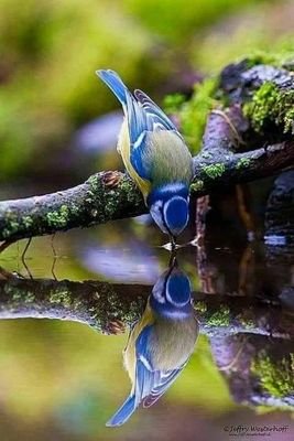 MariaEuniceOli6's profile picture. eunice