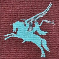 The Parachute Regimental Association(@PRA_Airborne) 's Twitter Profile Photo