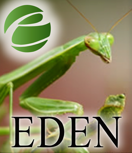 Tweets powered by: Grace... ask me a question about any pest, even Bed Bugs!
Eden is a Green (IPM) Pest Control Company serving Washington & Oregon.