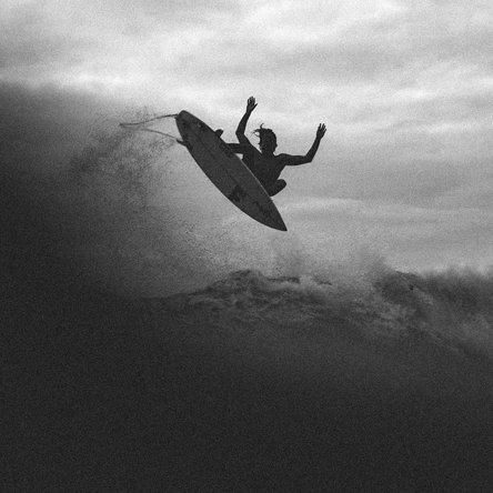 ProgramMovement's profile picture. 