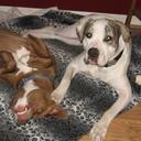 Steven Mitzel - @Docmitz - Twitter