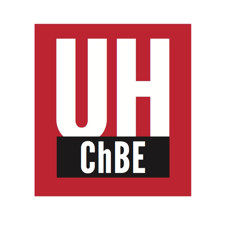 UH_RimerGroup Profile
