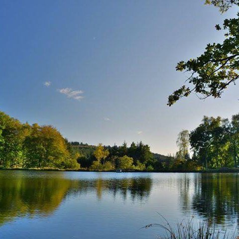 Autumn / Winter bookings available. Suitable for families / Beginners as well as serious anglers. Personal tuition available. Take a chill out break.