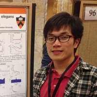 Kevin Sean Chen (@kevinschen13) 's Twitter Profile