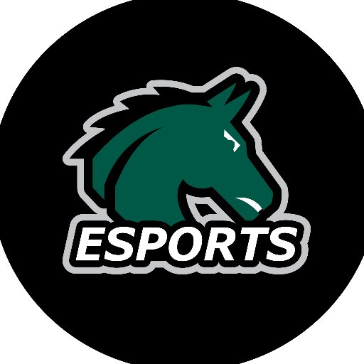 The official Twitter page for Stevenson University Esports | Contact: suesports@stevenson.edu