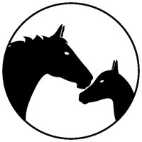 Horses & Foals (@horsesnfoals) 's Twitter Profile