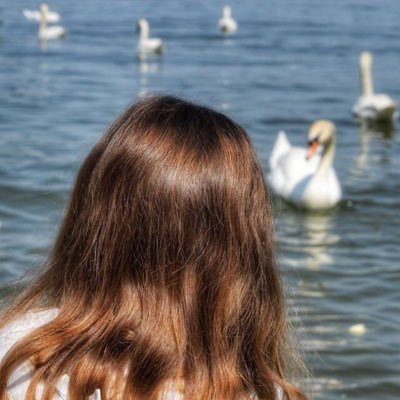 LoLotofex's profile picture. مصدعه