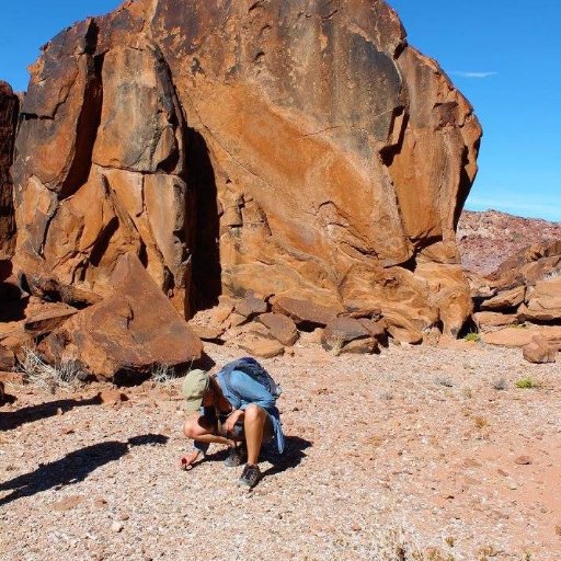 alicelaporta's profile picture. Outreach Officer and Palaeolithic Archaeologist 🤠 @HenryRoyceInstitute #UniversityofManchester