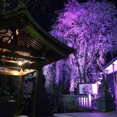 360_172's profile picture. 