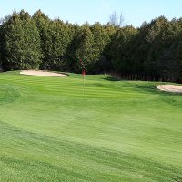 Oliver's Nest Turf (@oliversnestturf) 's Twitter Profile Photo