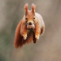 robbie (@funinspacelive) 's Twitter Profile