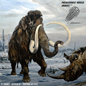 mammuthus Profile Picture