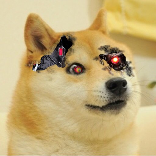 DogeOrNotDoge Profile