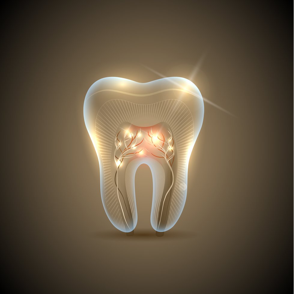 PalilaSae's profile picture. 