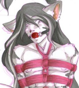 | 32 / Male / Single / Kinky & Lewd / White Tiger, a kitty, or some such | 18+ NSFW Content