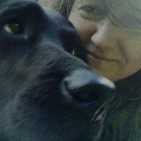 Chuffles (@chuffyone) 's Twitter Profile