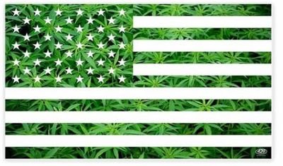 Alex48861349's profile picture. Get the best buds at affordable prices
We are legit fast and reliable 
All orders are shipped from our main branch here in USA