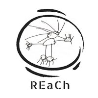 REaCh (Centre for Research in Early Childhood) (@r_ea_ch) 's Twitter Profile Photo