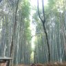 KMHIANNY's profile picture. なんとかなるさ