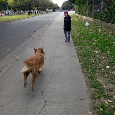 juliorfox's profile picture. Rey Garufa que no viaja solo,cn el corazón entre las manos de  mi familia TyN.