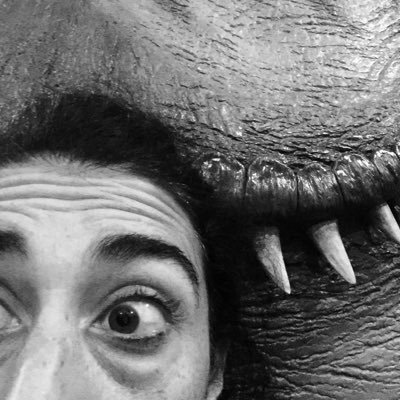 pinkiepieeeeee's profile picture. co-direttrice O Stafì. Co-ideatrice e co-conduttrice di ALTA PRESSIONE, programma radio. Una pulce che pizzica i Mammouth. Staff https://t.co/MaLXJl5KFu