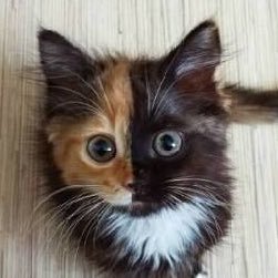 wghNaRnpL63MCty's profile picture. マイペースにNsしてます